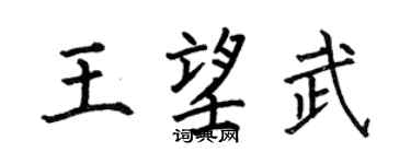 何伯昌王望武楷书个性签名怎么写