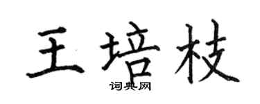 何伯昌王培枝楷书个性签名怎么写