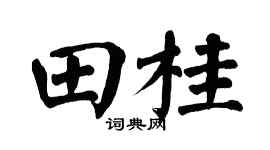 翁闿运田桂楷书个性签名怎么写