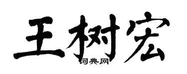 翁闿运王树宏楷书个性签名怎么写