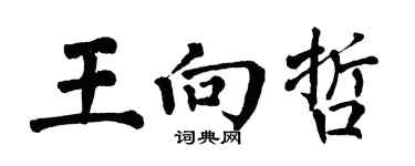 翁闿运王向哲楷书个性签名怎么写