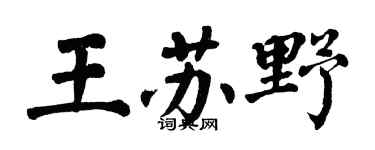 翁闿运王苏野楷书个性签名怎么写