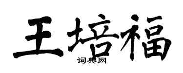 翁闿运王培福楷书个性签名怎么写