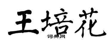 翁闿运王培花楷书个性签名怎么写