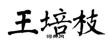 翁闿运王培枝楷书个性签名怎么写