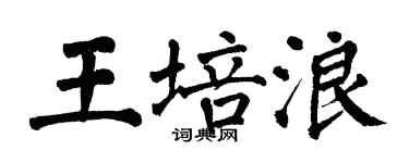 翁闿运王培浪楷书个性签名怎么写