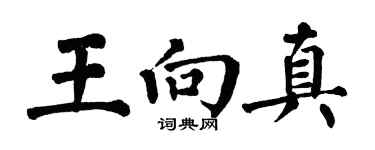 翁闿运王向真楷书个性签名怎么写