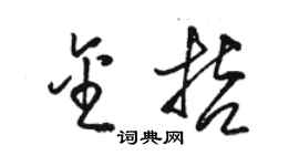 骆恒光金哲草书个性签名怎么写