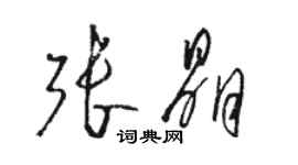 骆恒光张晶草书个性签名怎么写