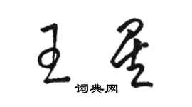 骆恒光王星草书个性签名怎么写