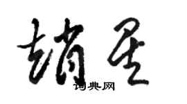 骆恒光赵星草书个性签名怎么写