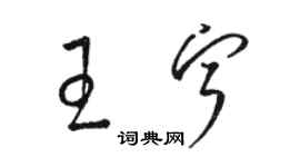 骆恒光王宁草书个性签名怎么写