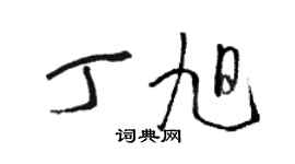 骆恒光丁旭草书个性签名怎么写