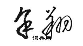 骆恒光余翔草书个性签名怎么写