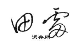 骆恒光田雷草书个性签名怎么写