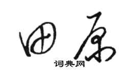 骆恒光田原草书个性签名怎么写