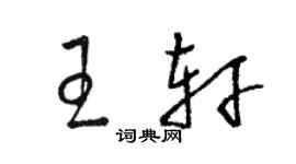 骆恒光王轩草书个性签名怎么写