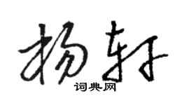 骆恒光杨轩草书个性签名怎么写