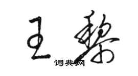 骆恒光王黎草书个性签名怎么写