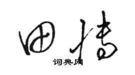 骆恒光田博草书个性签名怎么写