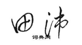 骆恒光田沛草书个性签名怎么写