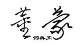 骆恒光董蒙草书个性签名怎么写