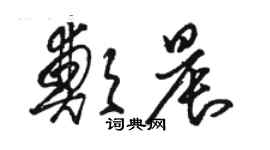 骆恒光郑晨草书个性签名怎么写