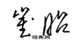 骆恒光崔昭草书个性签名怎么写