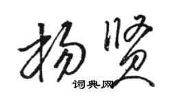 骆恒光杨贤草书个性签名怎么写