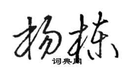 骆恒光杨栋草书个性签名怎么写