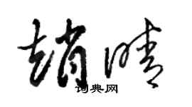 骆恒光赵晴草书个性签名怎么写