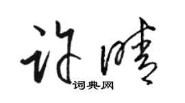 骆恒光许晴草书个性签名怎么写