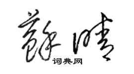 骆恒光苏晴草书个性签名怎么写