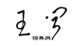 骆恒光王闻草书个性签名怎么写