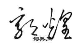 骆恒光郭煌草书个性签名怎么写