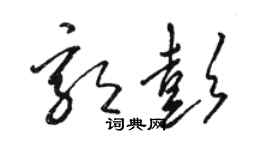 骆恒光郭彭草书个性签名怎么写