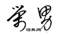 骆恒光荣男草书个性签名怎么写