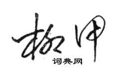 骆恒光柳甲草书个性签名怎么写