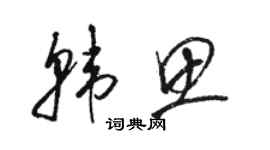 骆恒光韩思草书个性签名怎么写