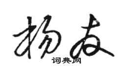 骆恒光杨友草书个性签名怎么写