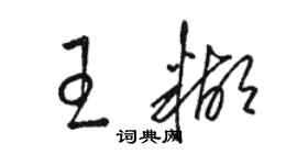 骆恒光王糊草书个性签名怎么写