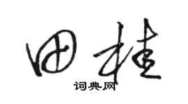 骆恒光田桂草书个性签名怎么写