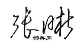 骆恒光张晰草书个性签名怎么写