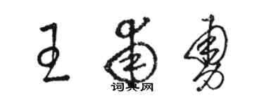 骆恒光王甫勇草书个性签名怎么写