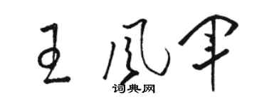骆恒光王风军草书个性签名怎么写