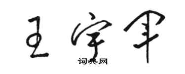 骆恒光王宇军草书个性签名怎么写