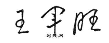 骆恒光王军旺草书个性签名怎么写