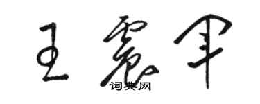 骆恒光王震军草书个性签名怎么写