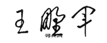 骆恒光王野军草书个性签名怎么写
