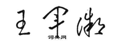 骆恒光王军微草书个性签名怎么写